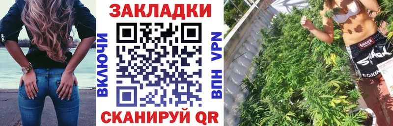 Названия наркотиков Пугачёв АМФ Меф мяу мяу Псилоцибиновые грибы mega маркетплейс Гашиш КОКАИН