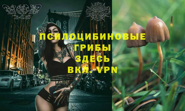 mdpv Алзамай