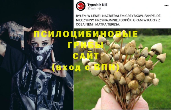 mdma Абинск